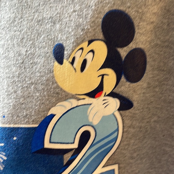 2022 Disneyland Sweatshirt - Picture 2 of 10
